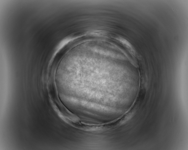 X0000086291038200704201919