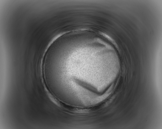 X0000086291039200704201919