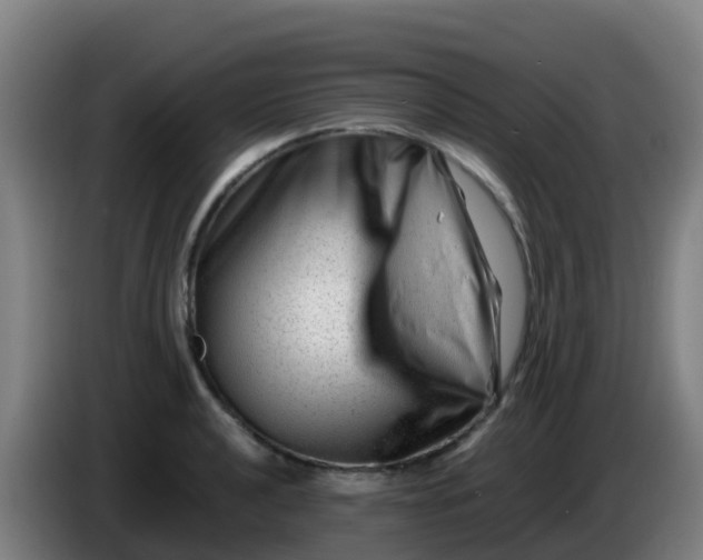 X0000086291040200704201919
