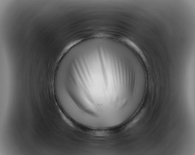 X0000086291041200704201919
