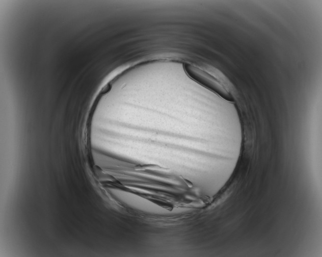 X0000086291044200704201919