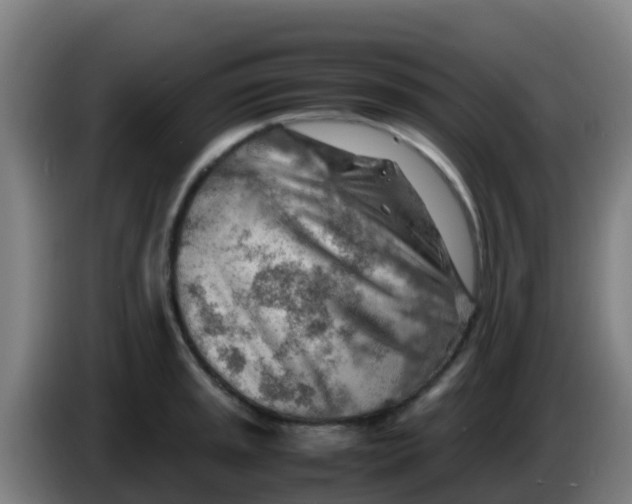 X0000086291045200704201919