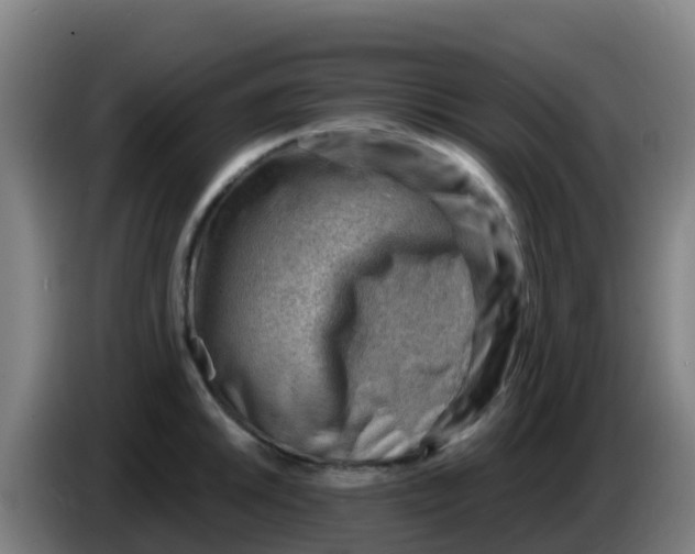 X0000086291046200704201919