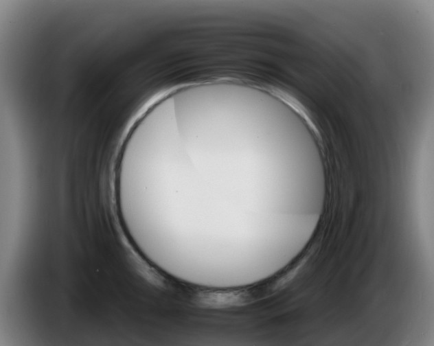 X0000086291047200704201919