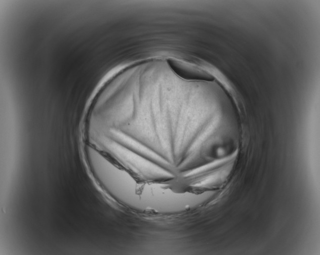 X0000086291048200704201919
