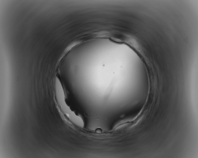 X0000086291049200704201919