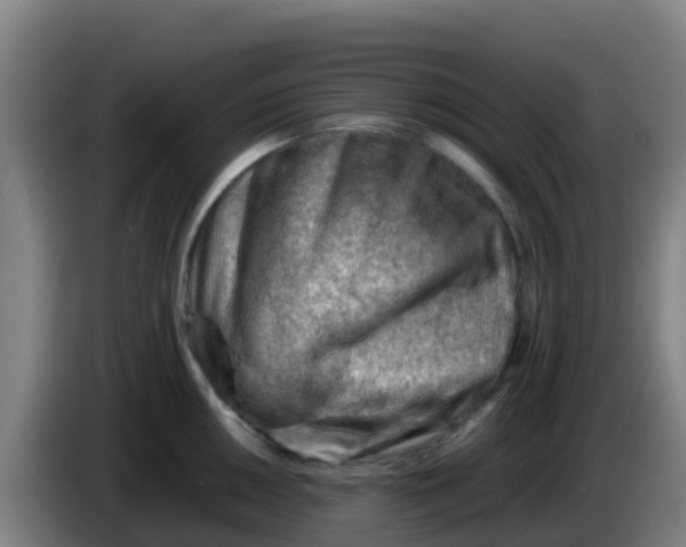 X0000086291050200704201919