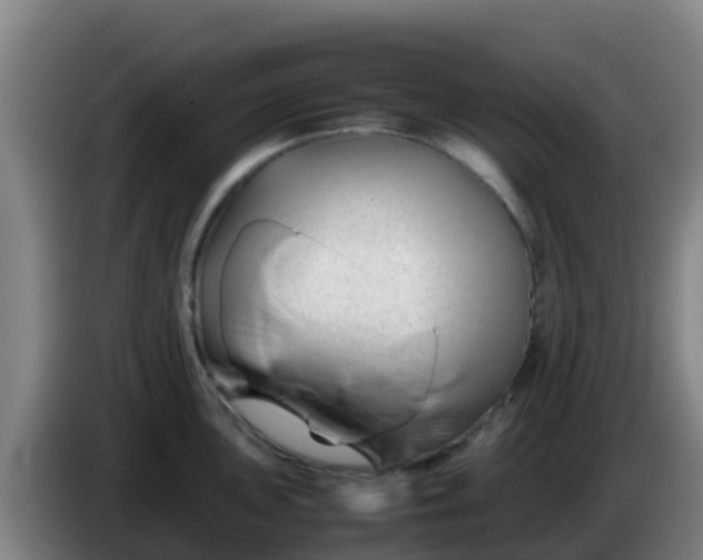 X0000086291051200704201919
