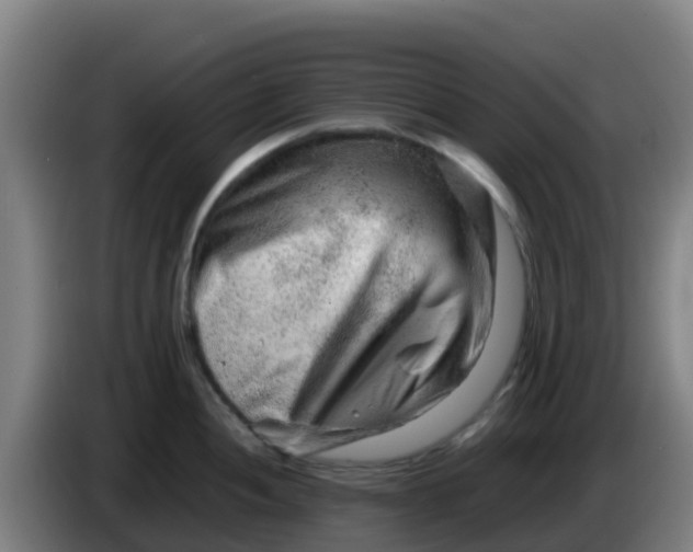 X0000086291052200704201919