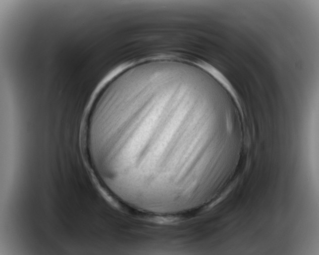 X0000086291053200704201919