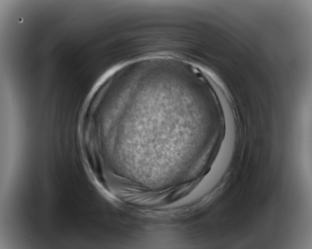 X0000086291054200704201919
