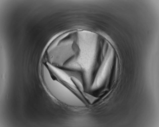 X0000086291056200704201919