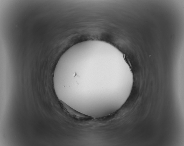 X0000086291057200704201919