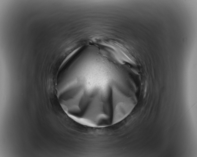 X0000086291058200704201919