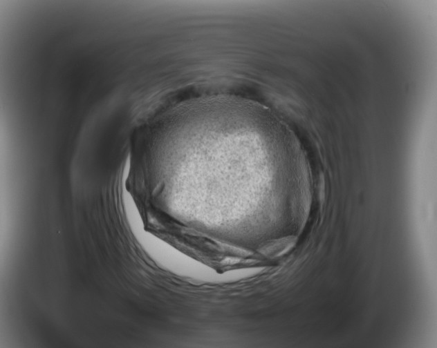 X0000086291059200704201918