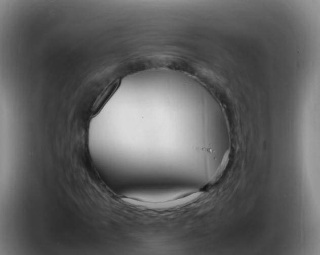 X0000086291061200704201918
