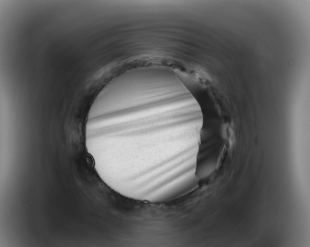 X0000086291062200704201918