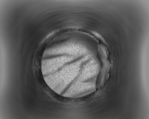 X0000086291064200704201918