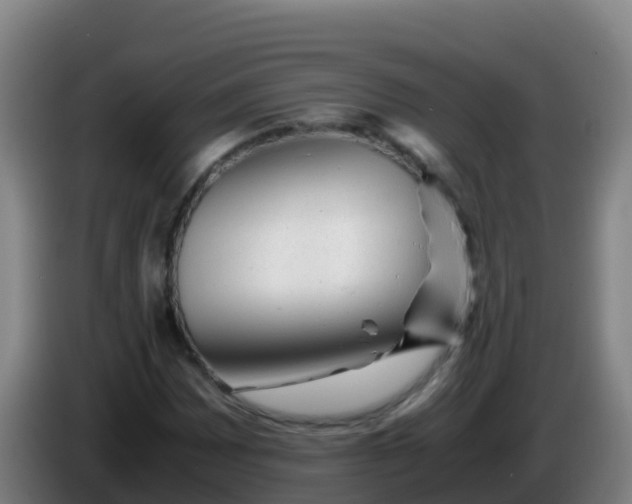 X0000086291065200704201918