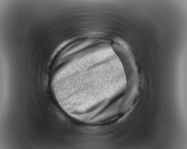 X0000086291066200704201918