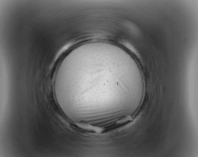 X0000086291067200704201918
