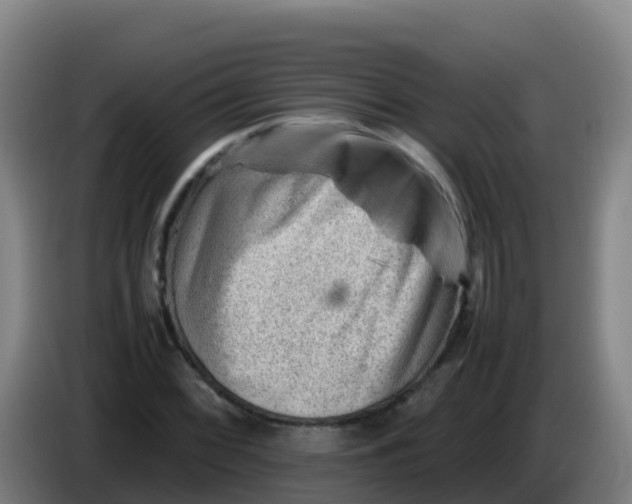 X0000086291068200704201918