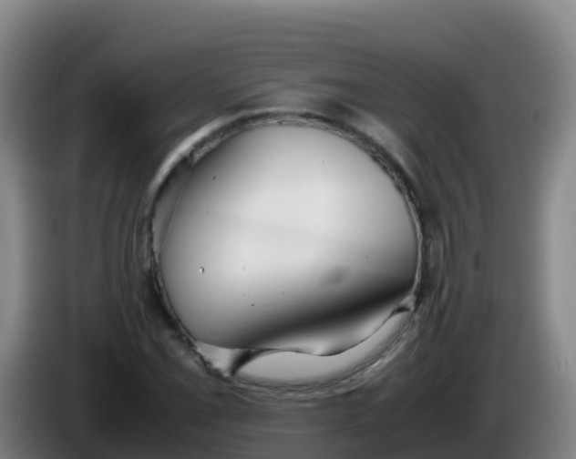 X0000086291069200704201918