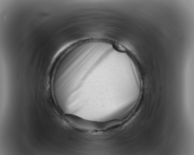 X0000086291070200704201918