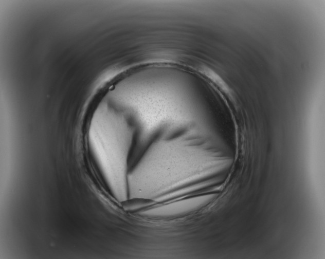 X0000086291072200704201918