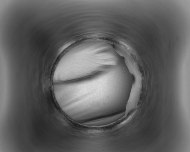 X0000086291073200704201918