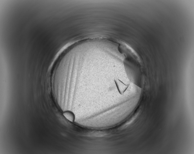 X0000086291075200704201918