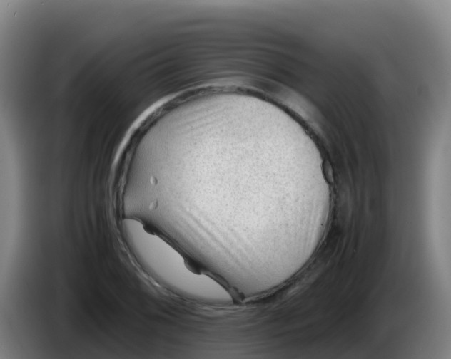 X0000086291076200704201918