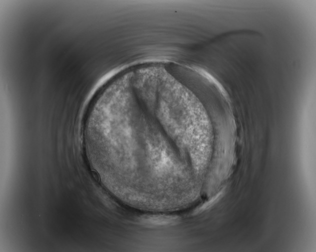 X0000086291077200704201918