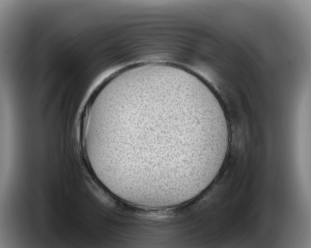 X0000086291078200704201918