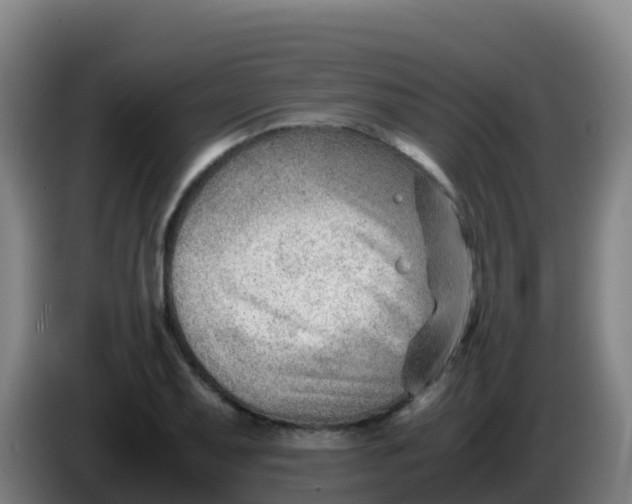 X0000086291079200704201918