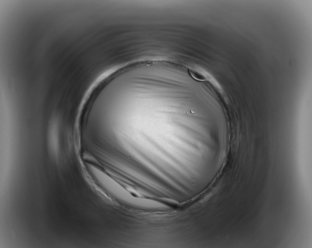X0000086291080200704201918