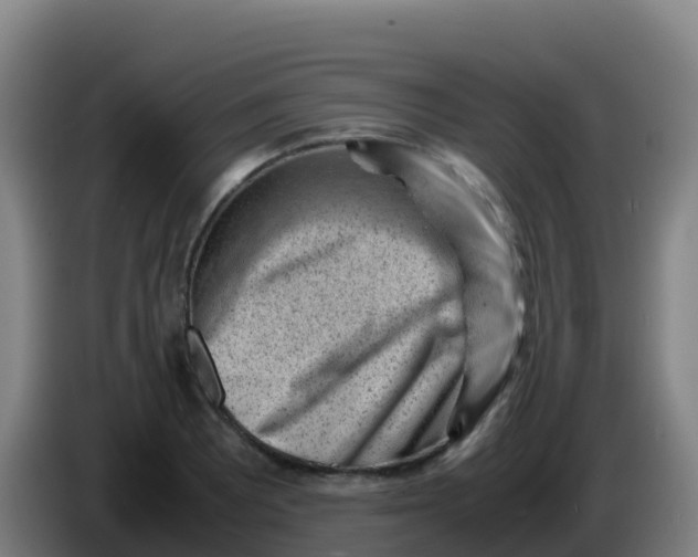 X0000086291081200704201918