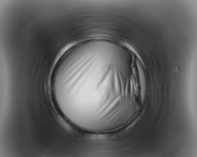 X0000086291082200704201918