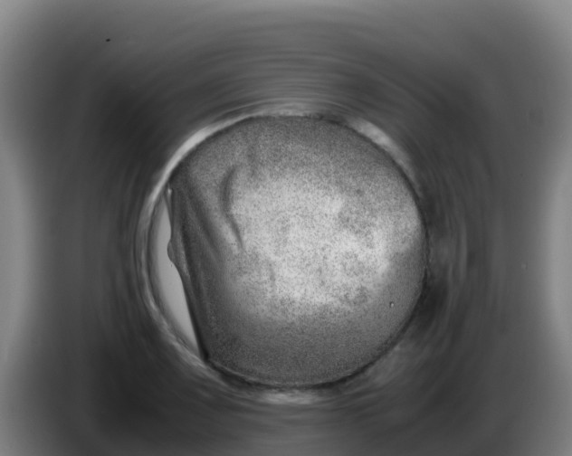 X0000086291083200704201918