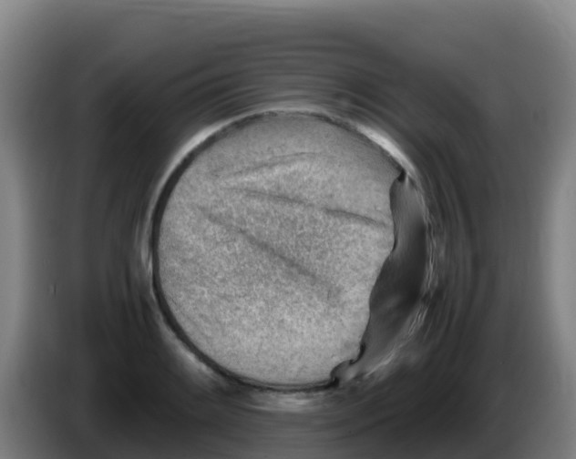 X0000086291084200704201918