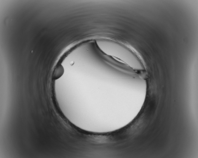 X0000086291085200704201918