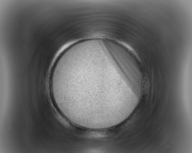 X0000086291086200704201918