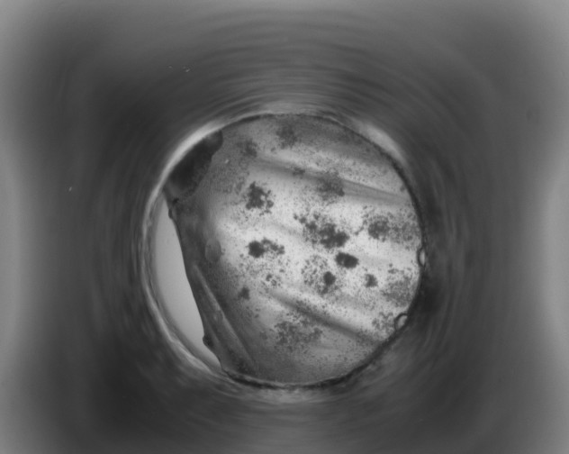 X0000086291087200704201918