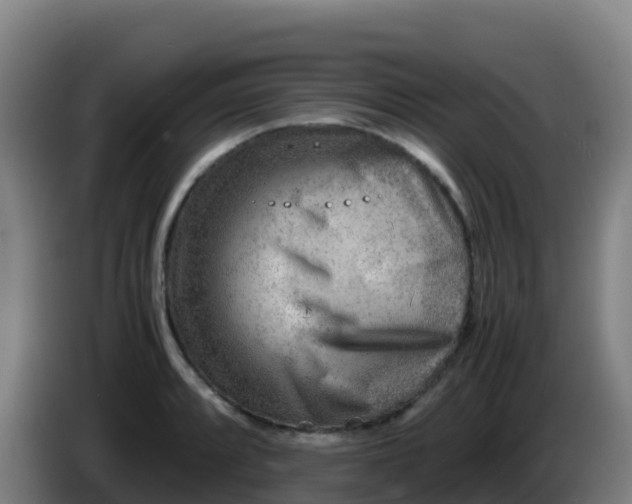 X0000086291088200704201918