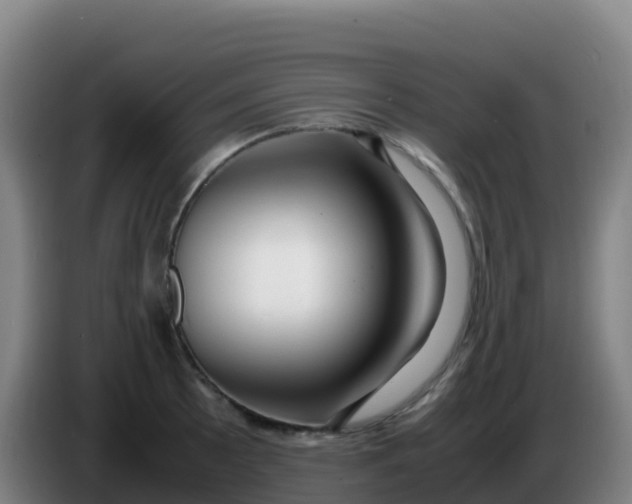 X0000086291089200704201918