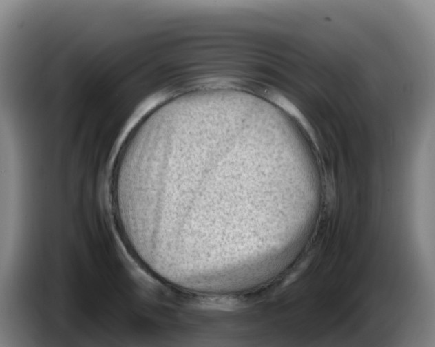 X0000086291090200704201918