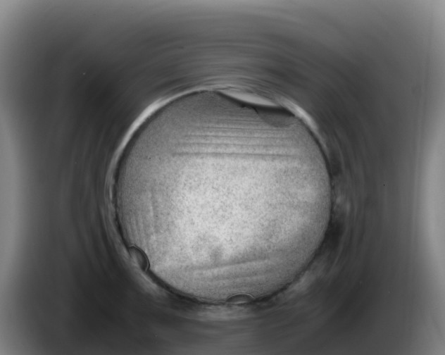 X0000086291091200704201918