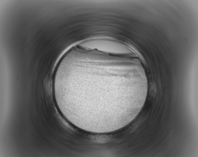 X0000086291092200704201918