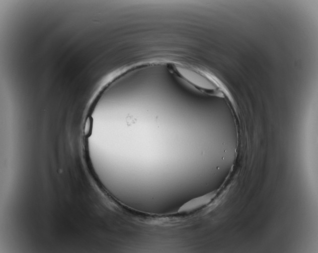 X0000086291093200704201918