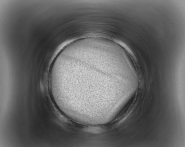 X0000086291094200704201918
